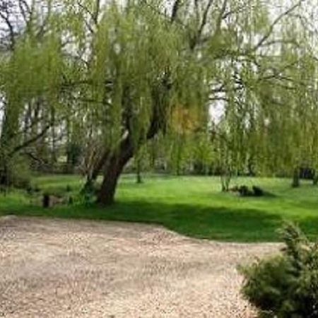 Thatched Farm Bed And Breakfast ウッドブリッジ エクステリア 写真